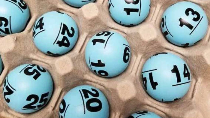 Khám Phá Thế Giới Đua Ngựa: Từ Trường Đua Đức Hòa Đến Ngựa Đua Silence Suzuka