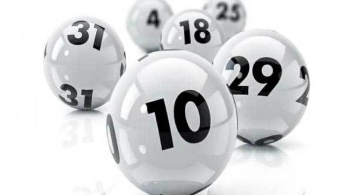 Khám Phá F8Pet: Nơi Cung Cấp Thông Tin Xổ Số Miền Nam Chính Xác